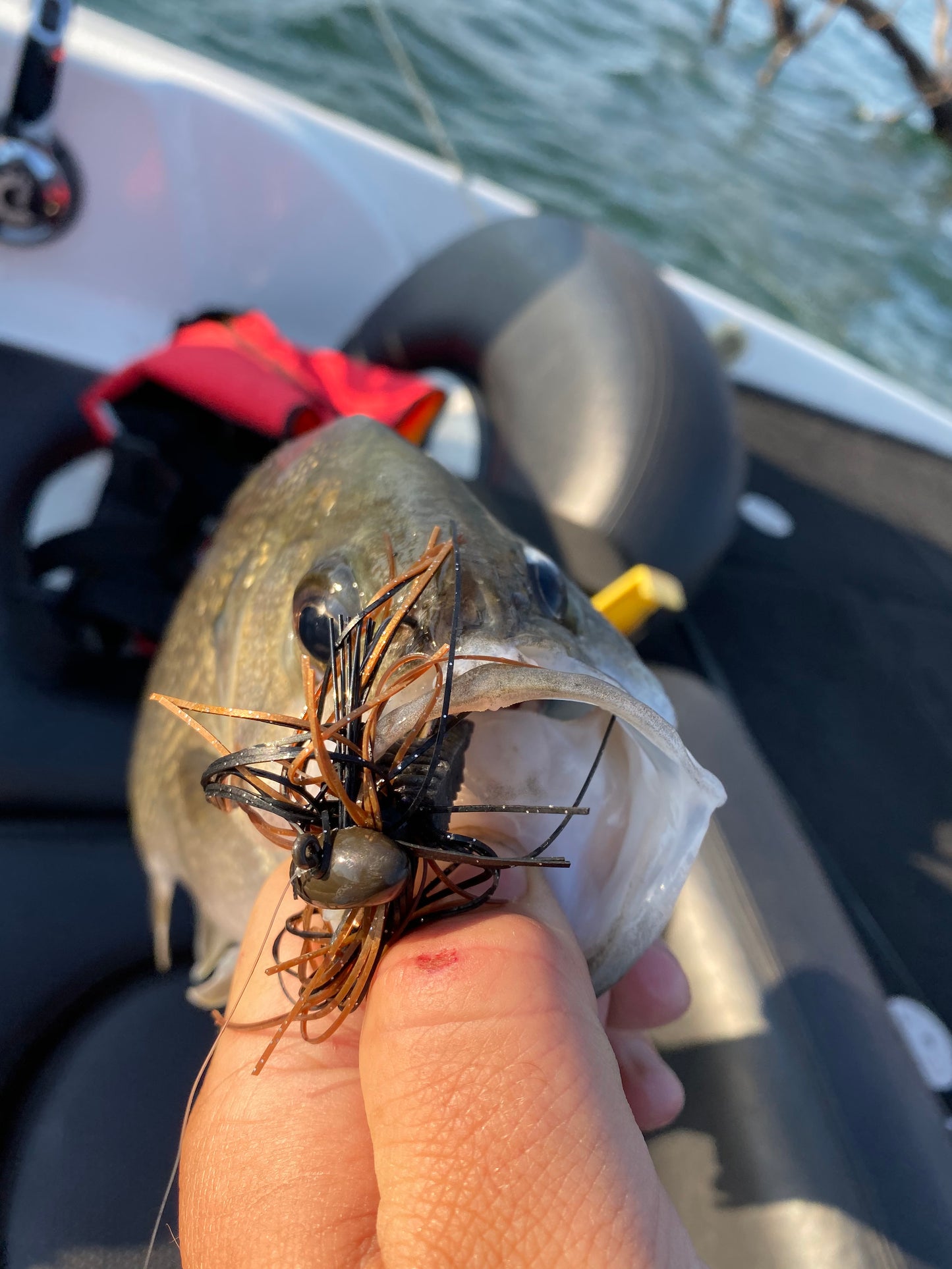 VEX Bassin’ Fodder Football Jig