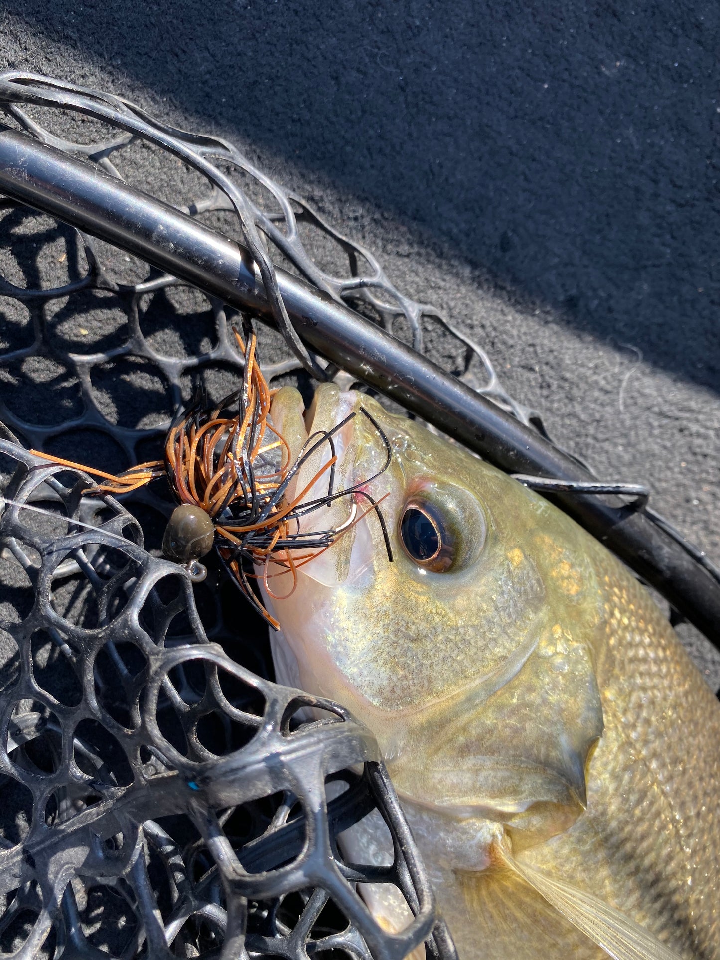 VEX Bassin’ Fodder Football Jig