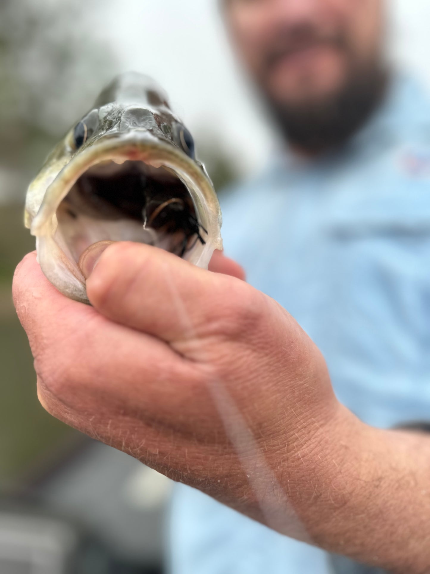 VEX Bassin’ Fodder Football Jig